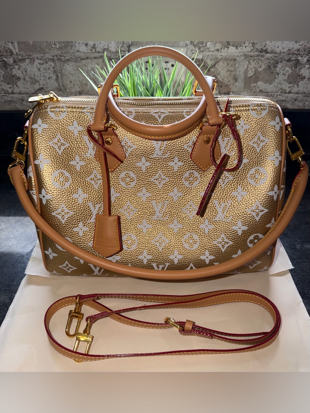 Louis Vuitton Gold Metallic Speedy 30cm
